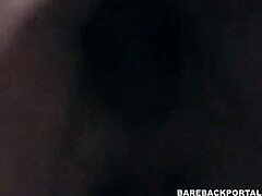 amateur interracial bareback pounding in bed
