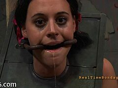 my rough pornstar sadomasochism session