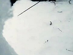 Asian Beauty in Snow Art