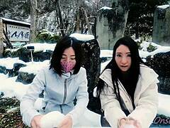 japanese white cat myaa’s snow sculpture art