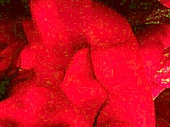 Woman’s steamy blowjob surprise