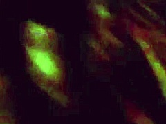 my blonde couple’s wild blowjob session