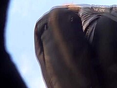 Allexsysi’s big ass dance mesmerizes