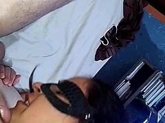 Passionate vixen frenzy unfolds