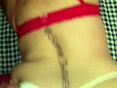 curvy charm bent for sweet delight