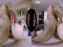black beauty's vr tease