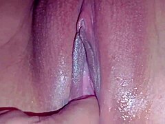 WET DELIGHTS HIT PEAK