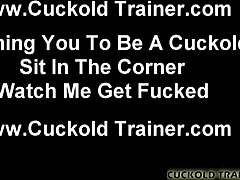 a cuckold bound by desires