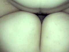 Milky delight on natural curves