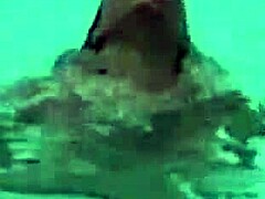 ever watched a housewife suck cock for huge cumshot?