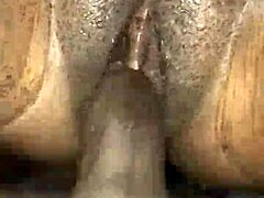 I’m pounding my sweet honey pussy hard