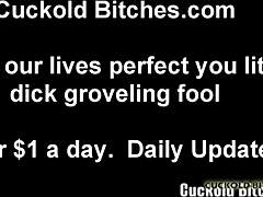 My new cuckold game for humiliating fun