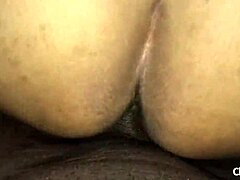 Caribbean babe's intense doggy thrill