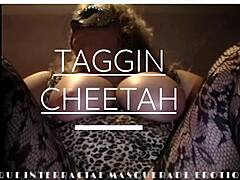 Taggin cheetah's thique interracial blowjob safari