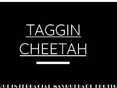 Taggin cheetah's thique interracial blowjob safari