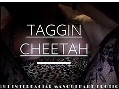 Taggin cheetah's thique interracial blowjob safari