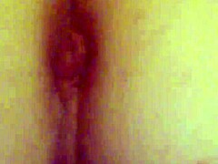 Wife’s Hot Creampie Scene Ignites