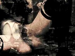 Dark Lantern presents vintage erotic sea voyage confessions
