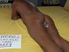 PAUL’S VIXEN PRIMED FOR ACTION