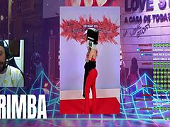 CARIMBA BRAZILIAN SOLO WEB VIBE