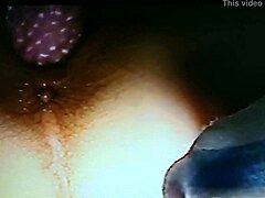 WIFE'S BLINDFOLDED DARING THRILL
