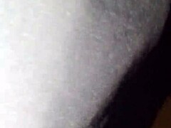 ALE'S Vixen Rules Seduction
