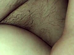 ALE'S Vixen Rules Seduction