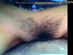 Asian Girl’s Wild Ranch Encounter