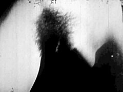 Hidden World Flipped in Secret Passion