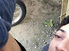 Hot shemale's stunning oral magic