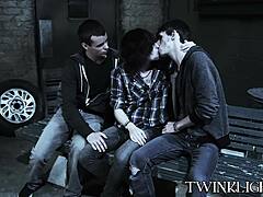 Emo Gays Fierce Passion