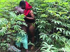 Mature's Wild Clash in Nature