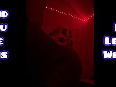 BLACK BEAUTY'S DOGGY APP HOOKUP