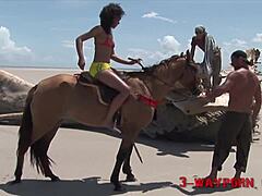 Natural Curves Wild Threesome