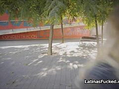 ever seen a latina girlfriend suck outdoors?