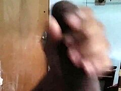 Young Stud’s Emotional Display of Raw Power