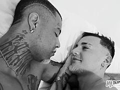 will you marry me after this interracial tease?