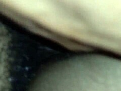 King Sauce Creampies Ebony Pussy In Wild Session