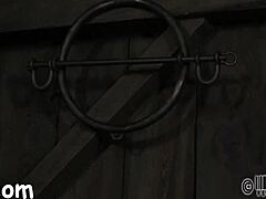 steamy oral in free porn