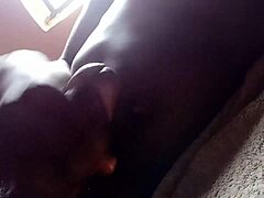Ucheeechi Mature Ebony Fucked Hard In Doggystyle