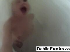 dahlia sky’s shower sizzle