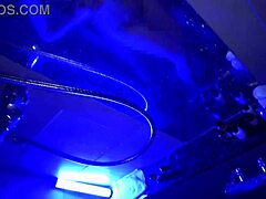 Curves Shaking with Intense Finish