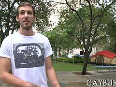 GAY INTENSITY UNLEASHED