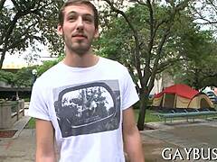 GAY INTENSITY UNLEASHED