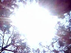 Raw Passion in Open Sky