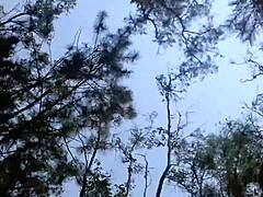 Raw Passion in Open Sky