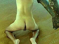 Latina Shemale Ladysilva Ignites Beachside Desire