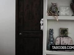 CADEY'S SECRET BEGINNING