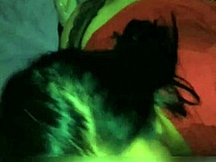 Amateur’s Daring Cock-Sucking Tease