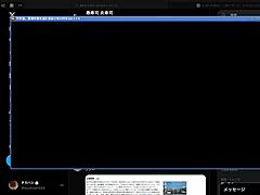 Top Disaster in Adult Game Chaos